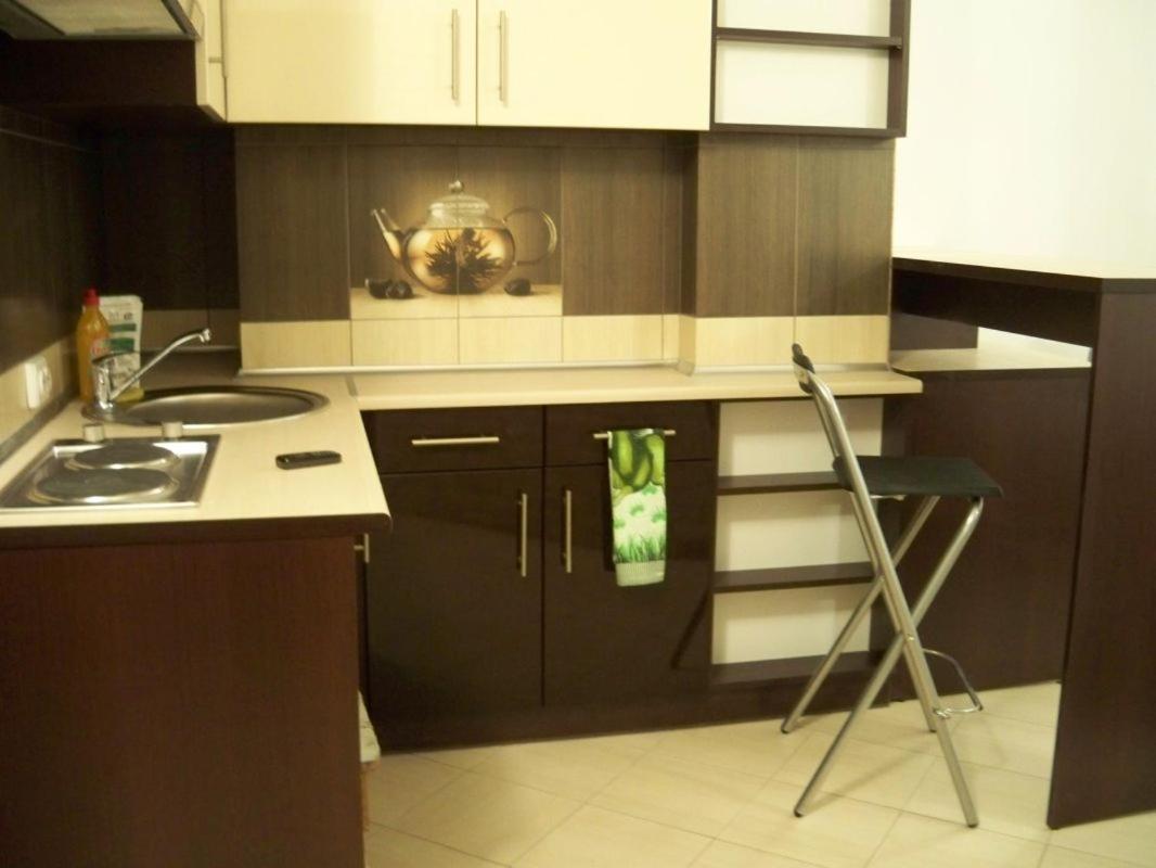 Studio-flat Apartment Lviv